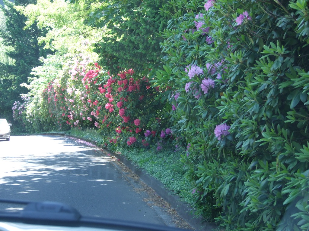 [DSCF71809.jpg]