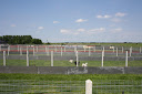 speelweide_nieuw3.jpg