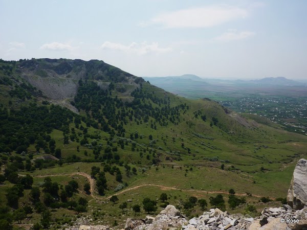 291.jpg