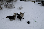 _DSC0049.JPG