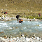20080830-DSC_9001.jpg