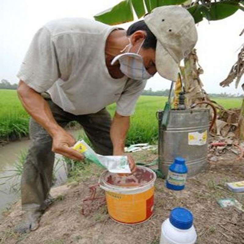 Phân bón chứa chất độc - Sự thật đang được che giấu?