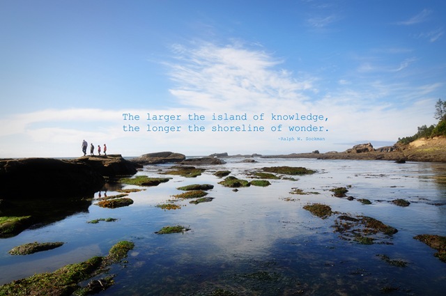 [Shoreline%2520of%2520Wonder%255B3%255D.jpg]
