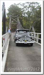 IMG_2536 IMG_2536