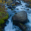 _MG_39745.jpg