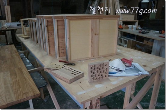 철천지DSC08464-20120820-140017 철천지DSC08464-20120820-140017