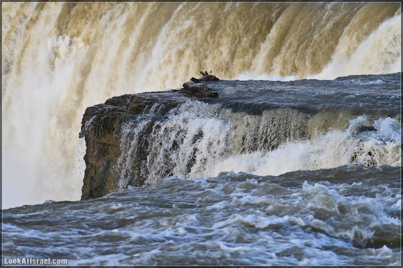 Америка 2.0 / Ниагарский водопад (foto america  фото моря и океаны водопады видео  20111017 usa niagara falls 047 8745)