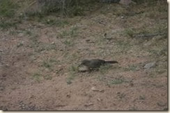 clip_image018 clip_image018