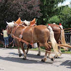 singold-bote_100718135619.jpg