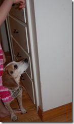 wally