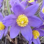 Sibai-2010-22.jpg