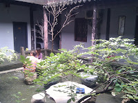 IMG_20110807_111115.jpg Photo