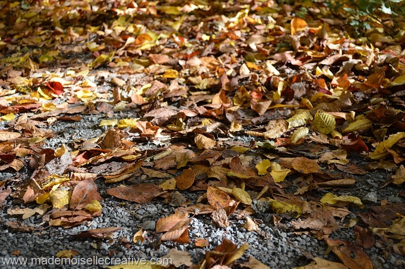 DSC_0435 DSC_0435