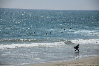 IMG_4659.JPG