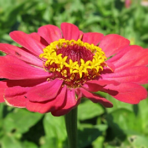[IMG_20120709_1952175.jpg]