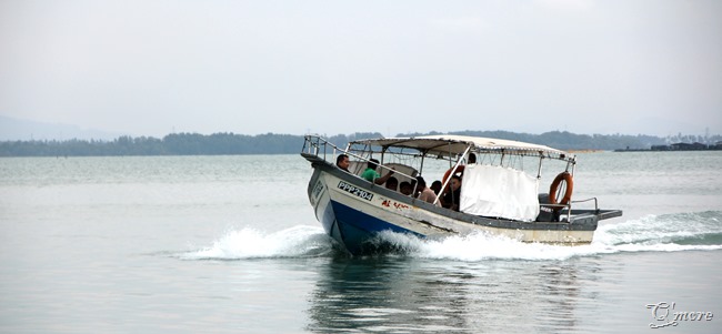 IMG_2765 IMG_2765