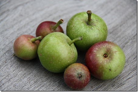 appeltjes