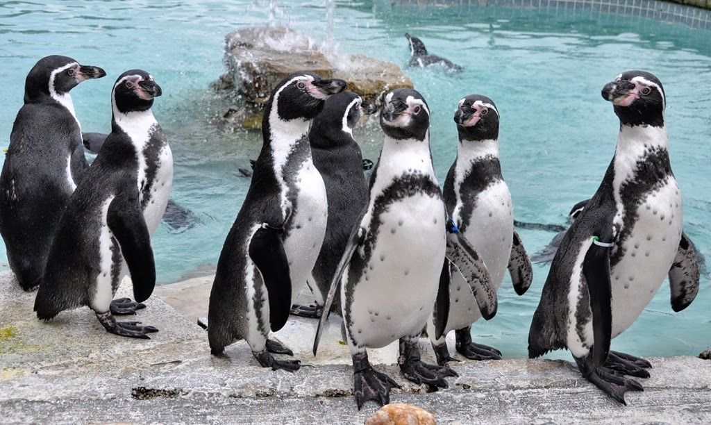 [DSC_0597-001%255B8%255D.jpg]