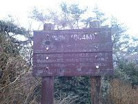 DSC_0075.JPG Photo