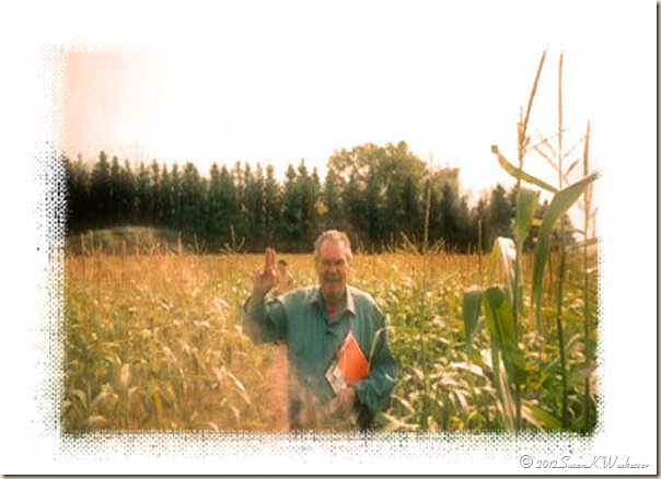 Dad Cornfield