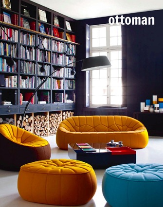 ligne_roset_ottoman