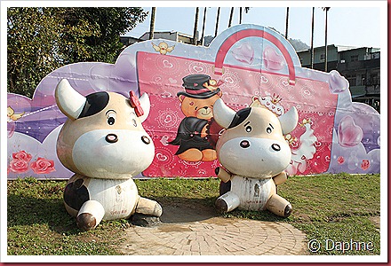 IMG_1771 IMG_1771