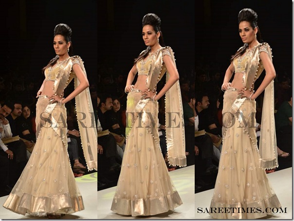 Tan_Designer_Saree.