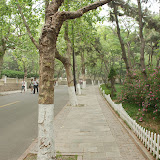 Qingdao - Badaguan