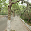 Qingdao - Badaguan
