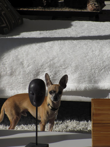 While artist Guppy preferred to remain behind 