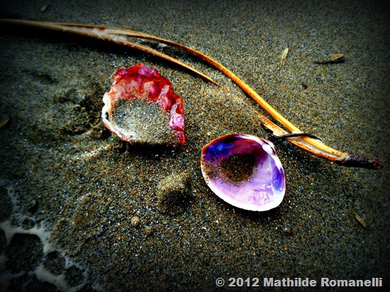 Ondine Ondine
