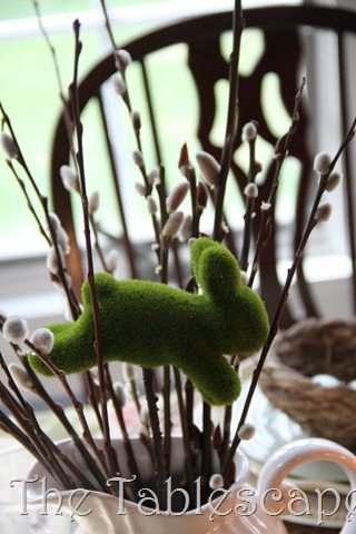 [Rabbit-warren-0283.jpg]
