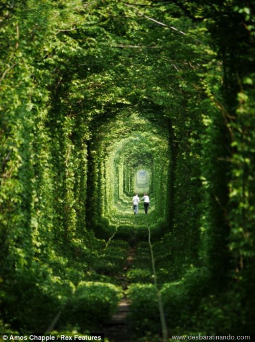 tunel do amor ucrania desbaratinando (4) tunel do amor ucrania desbaratinando (4)