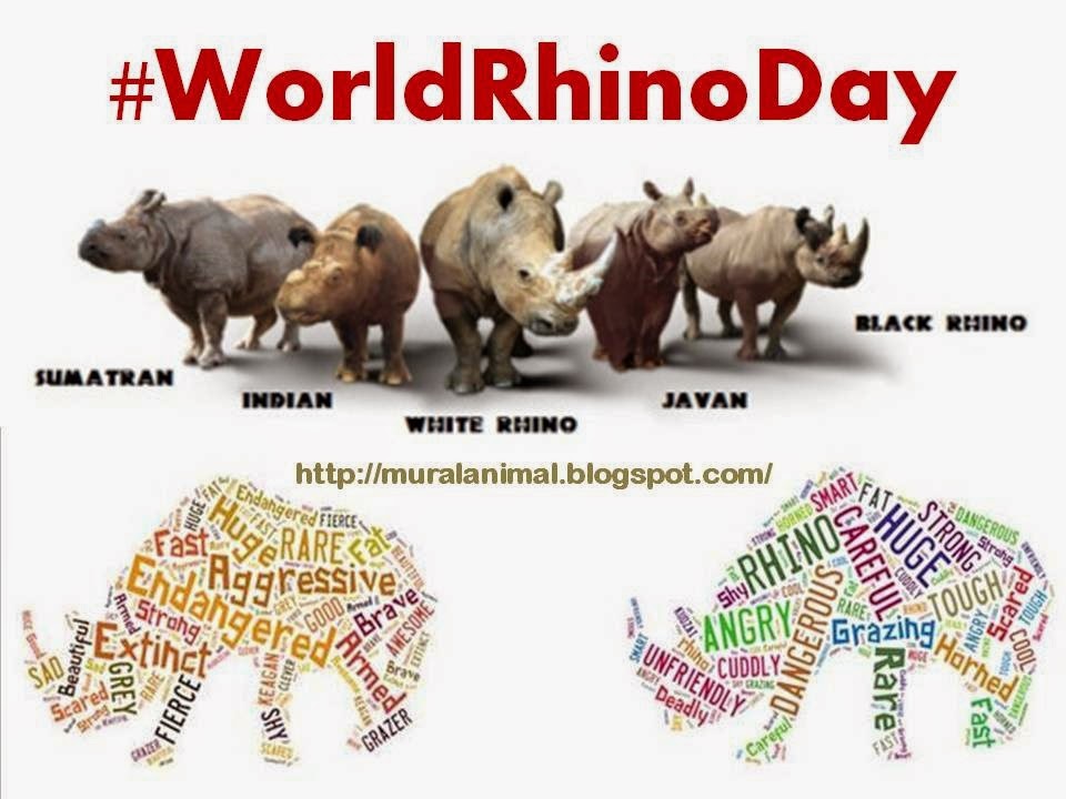 [WorldRhinoDay%255B3%255D.jpg]