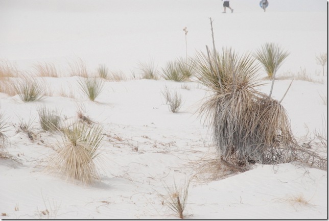 04-13-13 A White Sands National Monument 038