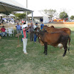 superleite2011_dia1607_59.JPG