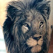 Lion #1