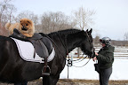 No, Betsy - I promise not to do any jumping.