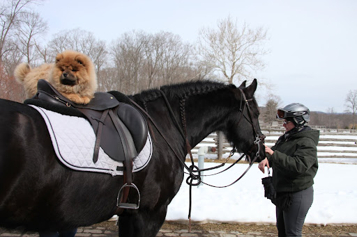 No, Betsy - I promise not to do any jumping.