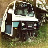 "Backyard 3" - copyright Ashley Bethard