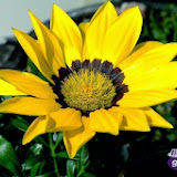 DSCF6889.jpg