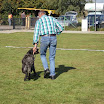 IMG_2933.JPG