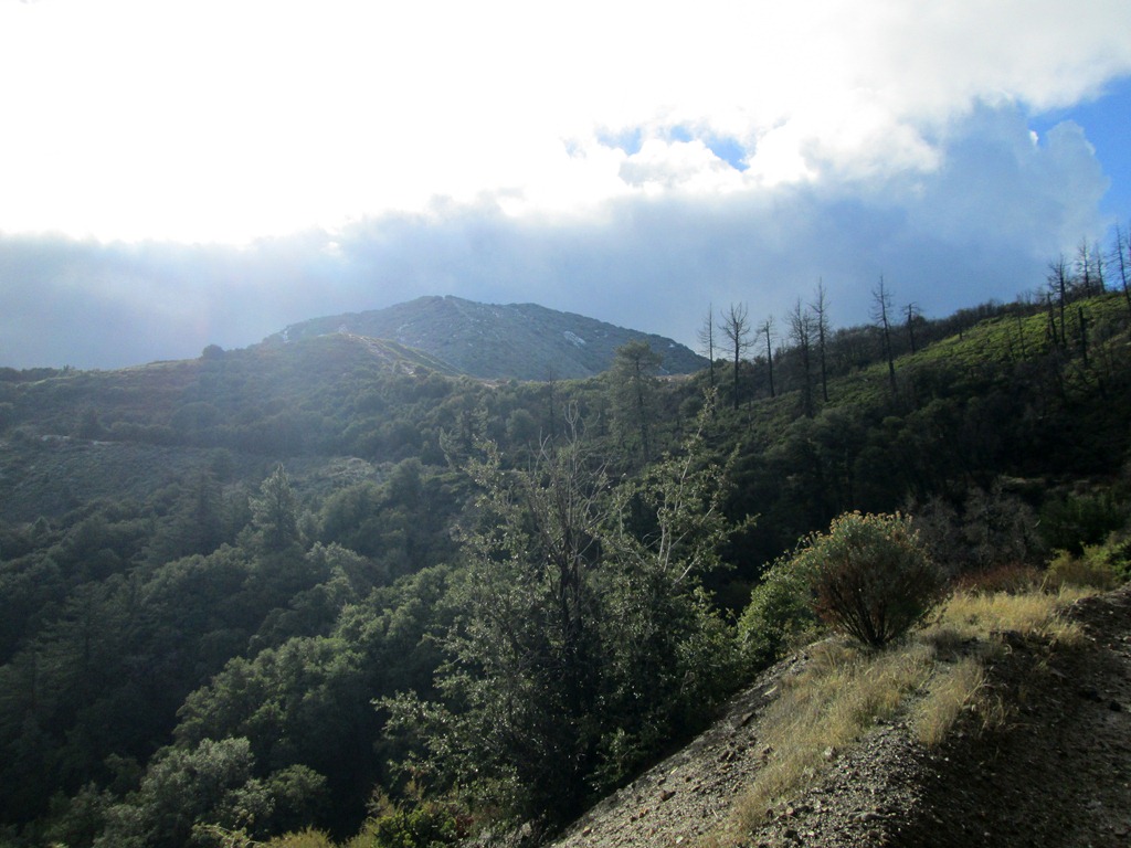 [IMG_2994%255B4%255D.jpg]