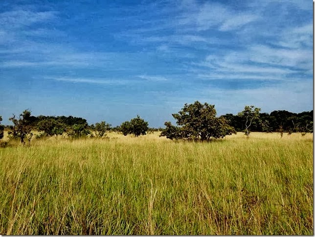 Lethem_Linden_Road_DSC06549 Lethem_Linden_Road_DSC06549