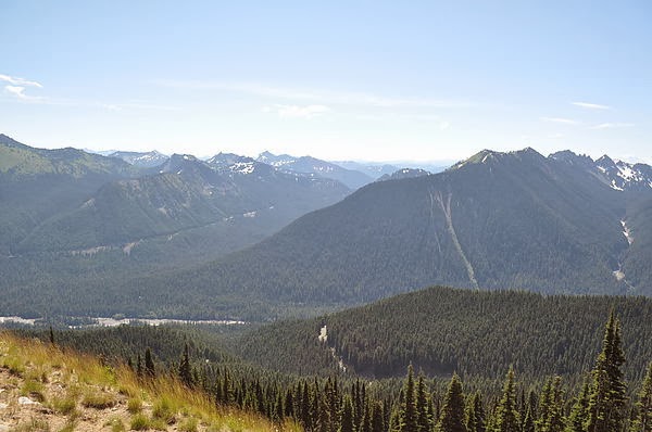 DSC_1907.JPG DSC_1907.JPG