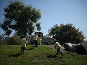 Race to the top of the hill!
