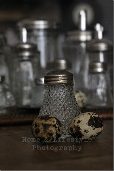 Home & Lifestyle Home & Lifestyle
