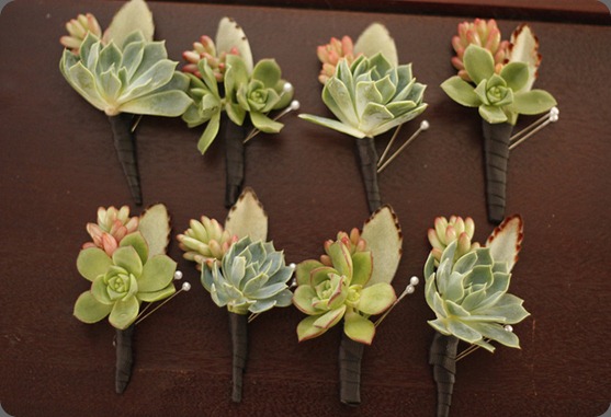 5692784250_c92db0f1d5_z honey and poppies 5692784250_c92db0f1d5_z honey and poppies