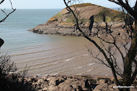 IMG_6051.JPG Photo