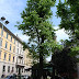 R0028064.JPG